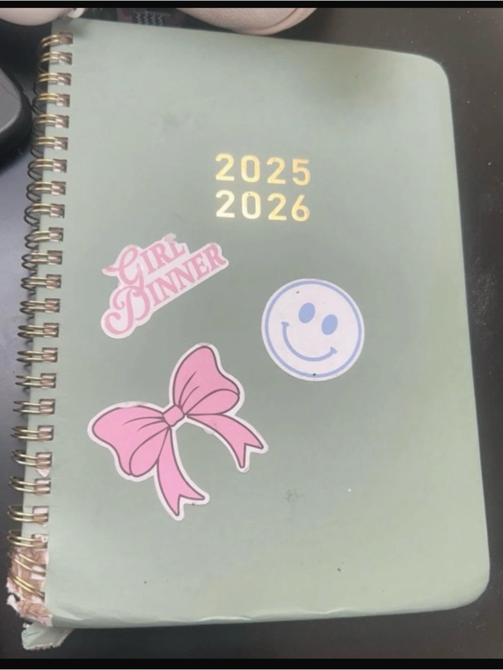 Amazon Essentials Kids Planner Notebook with Pink Accents and Gold Foil 2